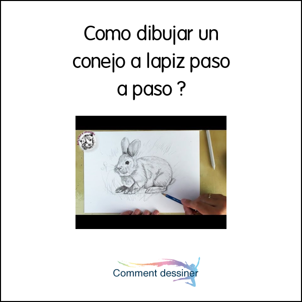 Como dibujar un conejo a lapiz paso a paso